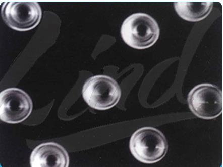 “核孔膜” 能遮風(fēng)擋雨又能透氣的防霧霾產(chǎn)品