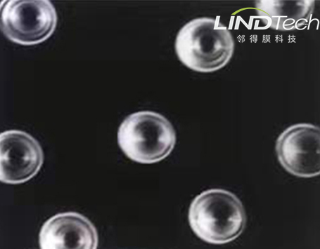 從核技術(shù)實(shí)驗(yàn)室到百姓餐桌：一位女科學(xué)家如何用“原子彈級(jí)”技術(shù)破解民生難題