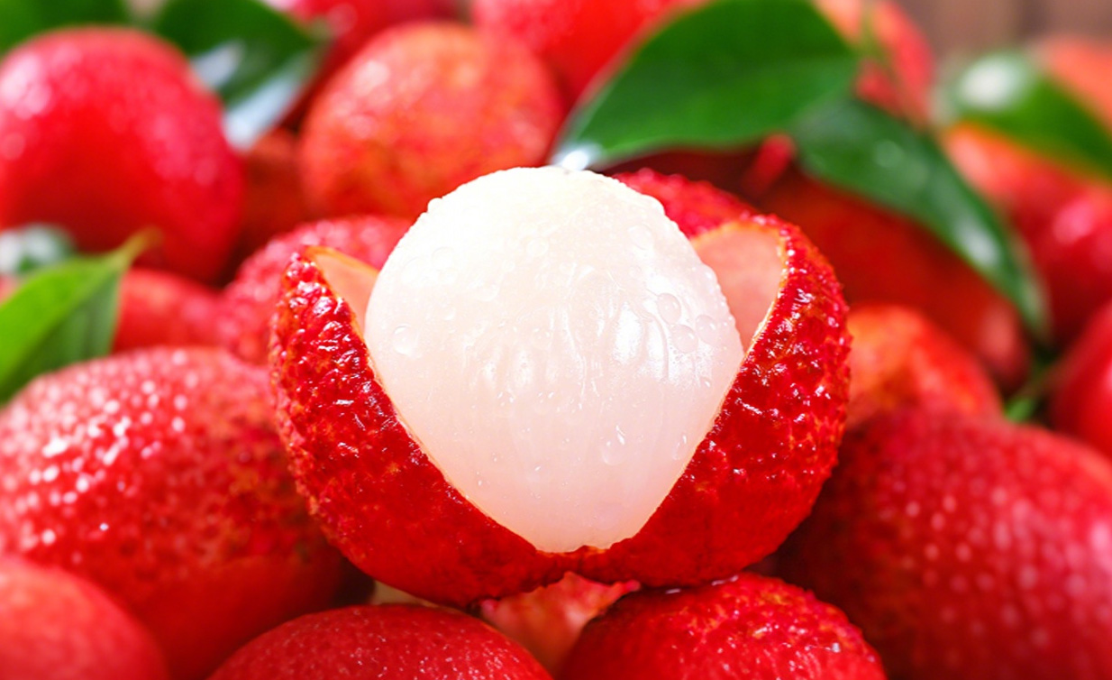 古今保鮮智慧的交響：從《長安的荔枝》李善德到核孔膜技術(shù)的跨越