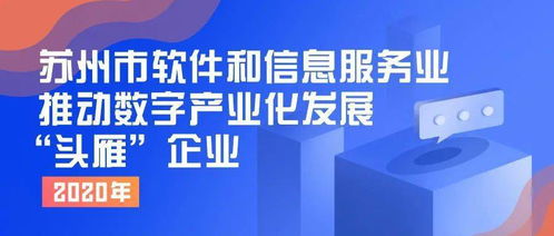 申報2020年蘇州市軟件和信息服務(wù)業(yè)推動數(shù)字產(chǎn)業(yè)化發(fā)展“頭雁”企業(yè)——網(wǎng)絡(luò)技術(shù)服務(wù)